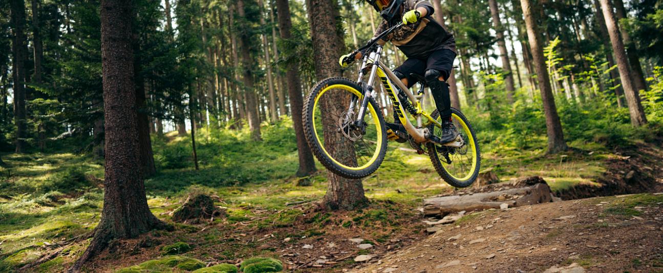 Zážitková cyklistika v jižních Čech