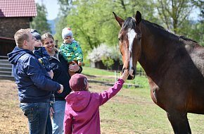 Vzhůru za zvířátky