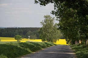 Z Deštné do Nové Včelnice