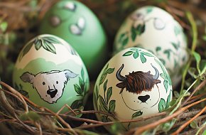 Velikonoční dobrodružství v Safari