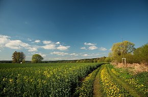 Novohradskem-Doudlebskem na kole