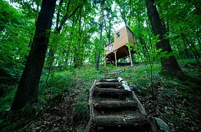 Treehouse Zlatá Koruna