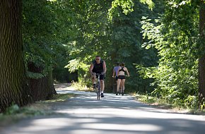 České Budějovice - Hluboká nad Vltavou
