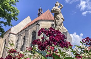 Nejrůžovější město na světě