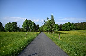 z Kvildy k pramenům Vltavy, na Bučinu a Knížecí pláně a zpět