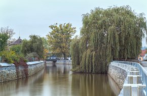 Z Tábora do Soběslavi