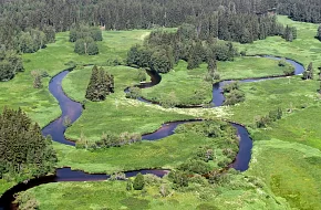 Pod Stožeckou skálou na Černý kříž