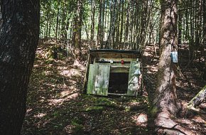 Dřevorubecká studánka – voda s chutí lesního klidu