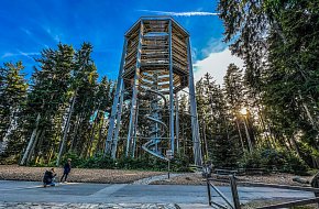 Svatba v korunách stromů