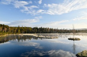 Největší rašelinové jezírko v Česku s nejznámější břízkou