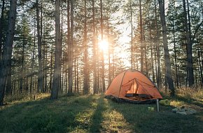 Tábořiště Sokol Suchdol