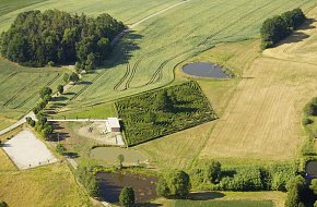 Největší habrové bludiště ve střední Evropě