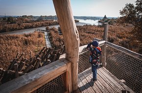 Ptačí pozorovatelna Vrbenské rybníky