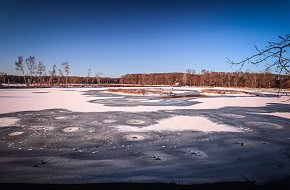 Kolem kolem Bezdreva a po hrázích Vrbenských rybníků