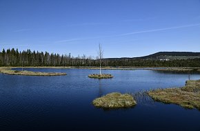 Svinná Lada - Nové Hutě