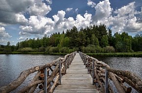 Z Černé v Pošumaví přes rybník Olšina do Krumlova