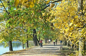 Z Budějc přes Třeboň a Borovany