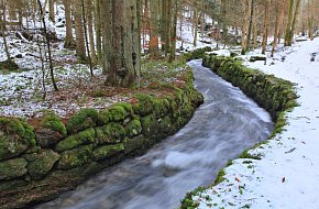 Schwarzenberský plavební kanál