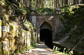 Po stopách posledního Šumavského medvěda okolím Nové Pece