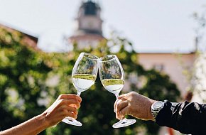 Festival vína Český Krumlov®