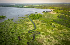 CCL - 2. etapa: Z rybníku Rožmberk do Tábora