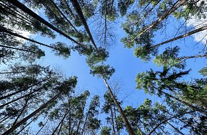 Nejstrašidelnější les v Česku