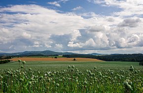 Naučná stezka krajinou humanity