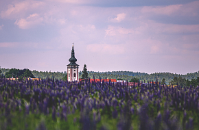 Textilní stezka na Novobystřicku