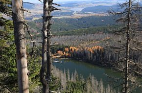 Na Plešné jezero a pod Hochficht