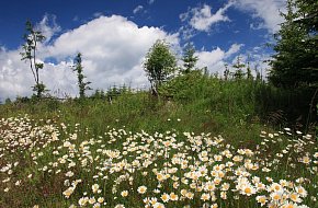 Víkendovka do Boletic