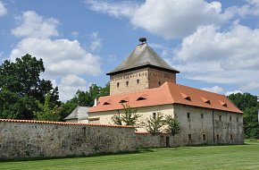 Jestřábí moudrost