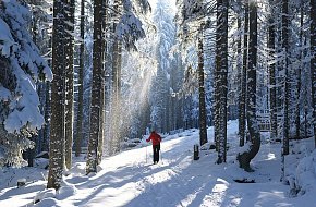 Cross-Country Skiing in Podkletí
