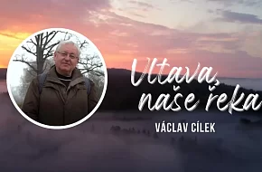 Ve znamení delfína