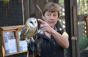 Záchranná stanice Třeboň pro volně žijící živočichy