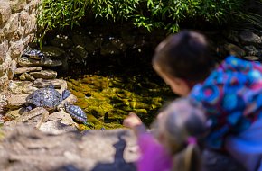 Staň se ošetřovatelem v ZOO Na Hrádečku