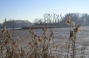 Za památkami a přírodou Zbudovských Blat