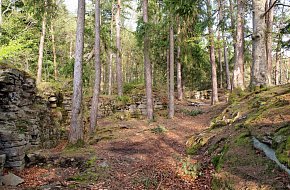 Zřícenina hradu Sokolčí