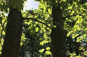 Ptačí stezka u Jaderné elektrárny Temelín