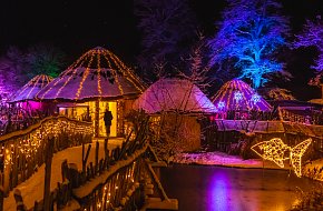 Vánočně nasvícená ZOO Hluboká