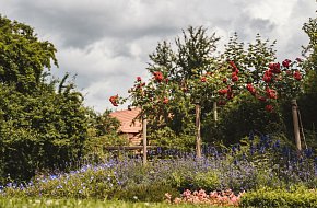 Krumlovem, meandrem řeky Vltavy