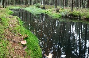 Přírodní památka Blana