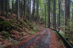 Nejstarší přírodní rezervace v pevninské Evropě