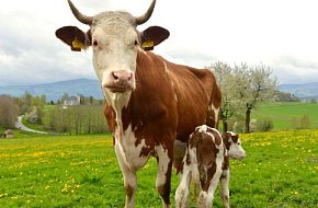 Naučná stezka Želnavskem za bioprodukty na biofarmu Slunečná