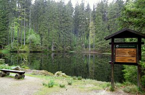 Okolo Boubínského pralesa