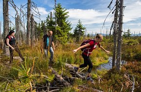 Průvodci divočinou