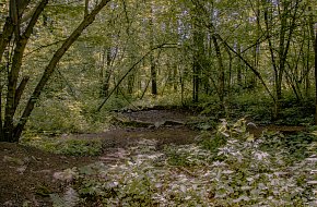 Keltské oppidum v Třísově