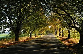 Stezkou Pátera Bonfilia po Novohradsku