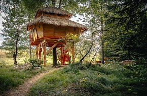 Treehouse Česká Kanada