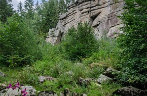 Geocaching na Novohradsku a Doudlebsku - trasa kolem Černé