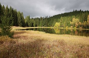 Na kole po Zlaté stezce okolo pohanských kamenů